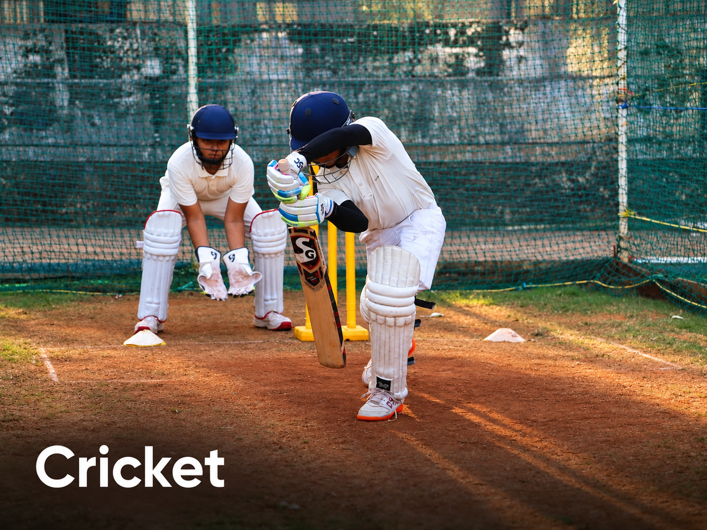 Cricket